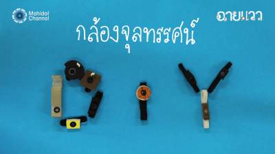 11025910_854303167959940_5926225922050701122_o