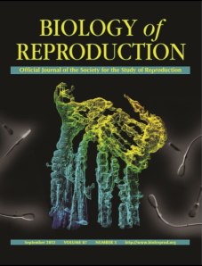 BiolReprodCover2013