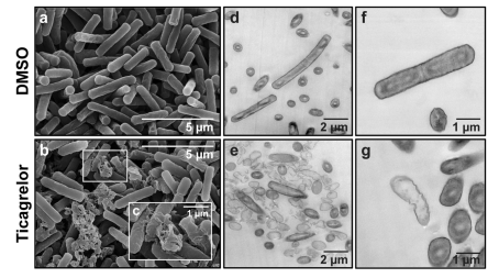 Screen Shot 2563-06-18 at 02.25.47